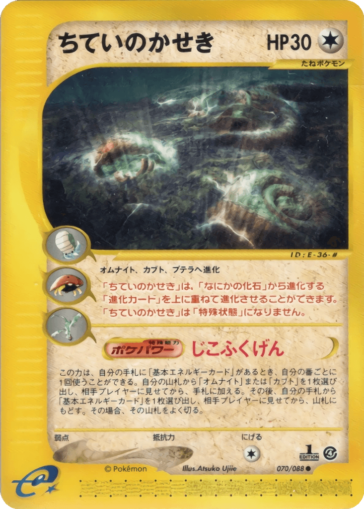 Buried Fossil
