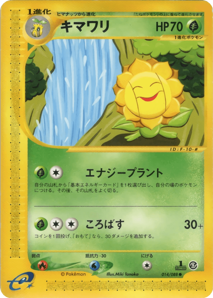 Sunflora