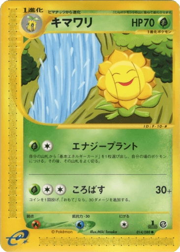 Sunflora