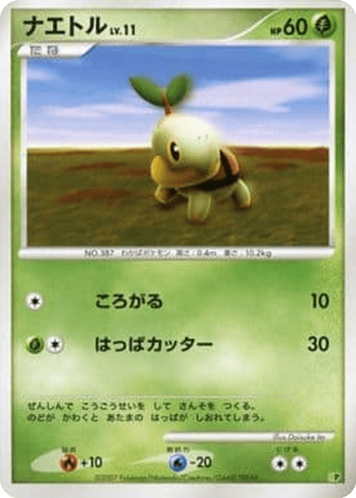 Turtwig