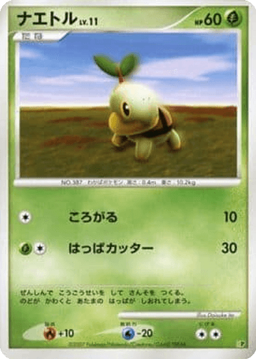 Turtwig