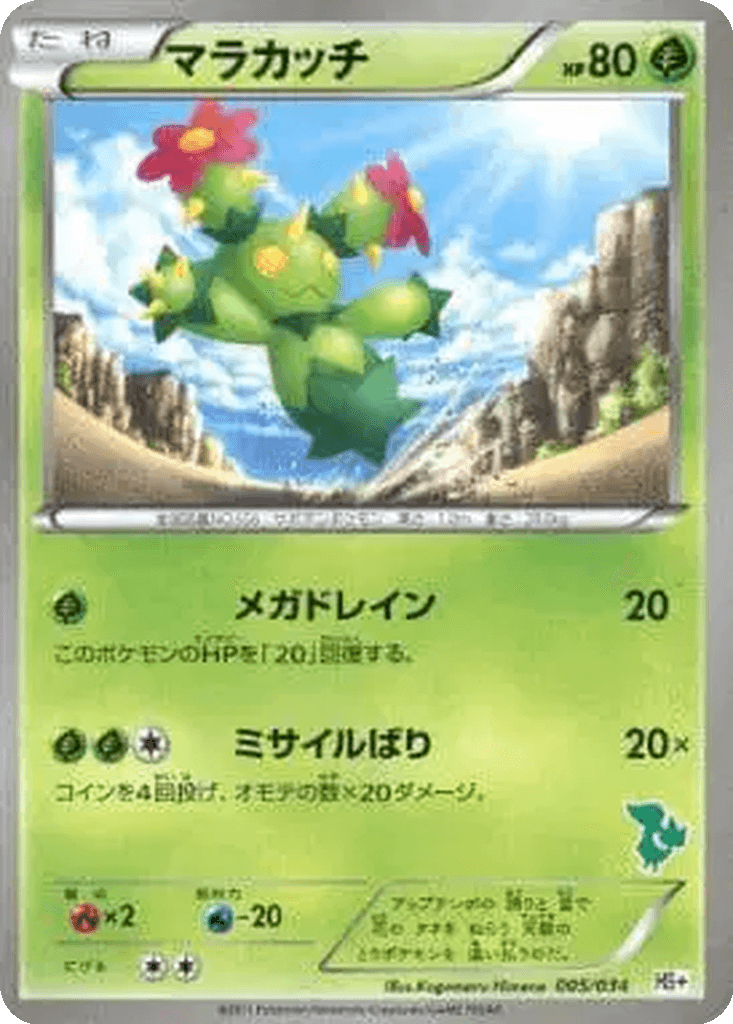 Maractus