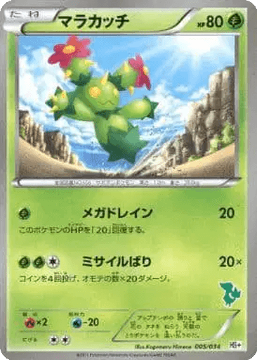 Maractus
