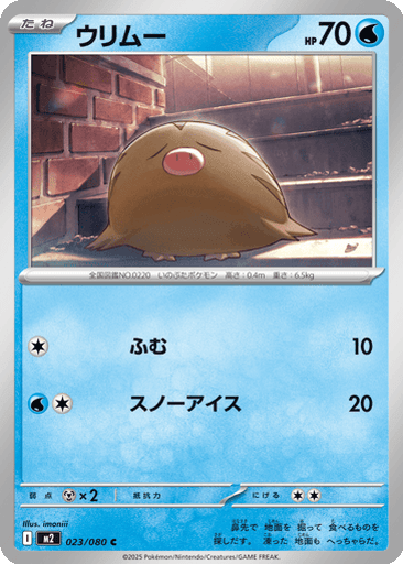 Swinub