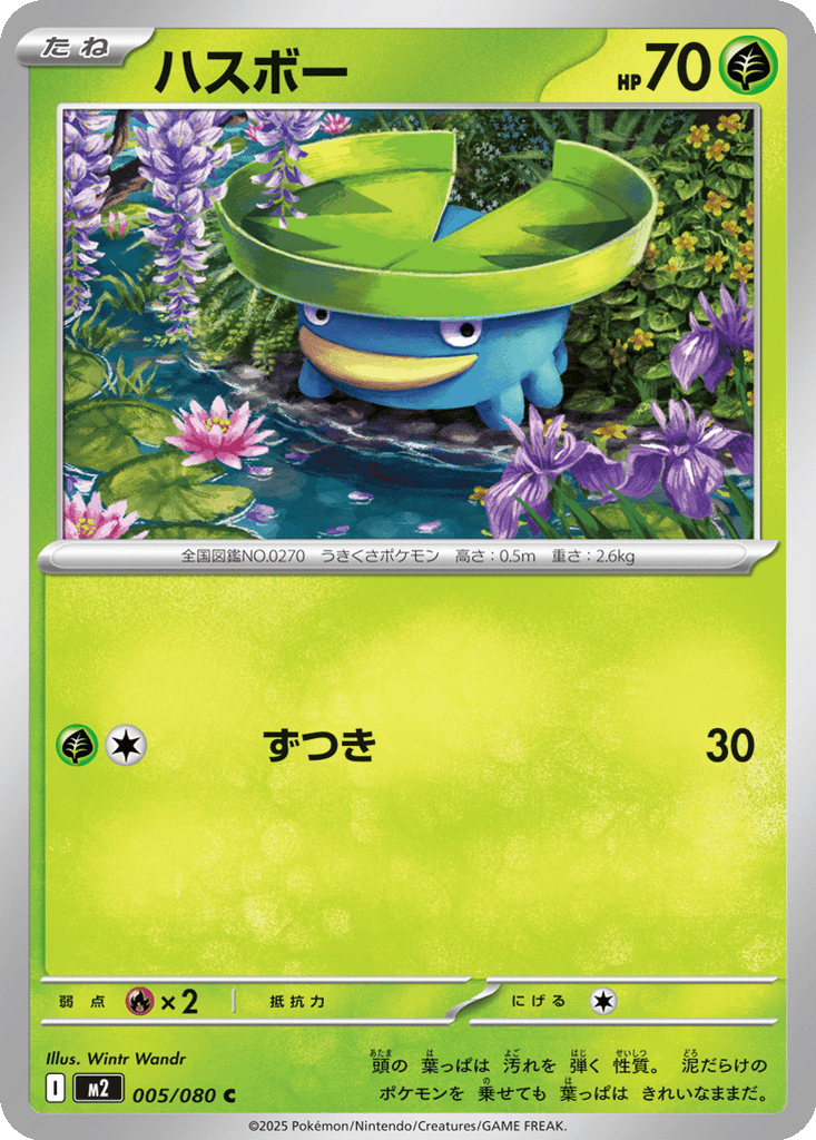 Lotad