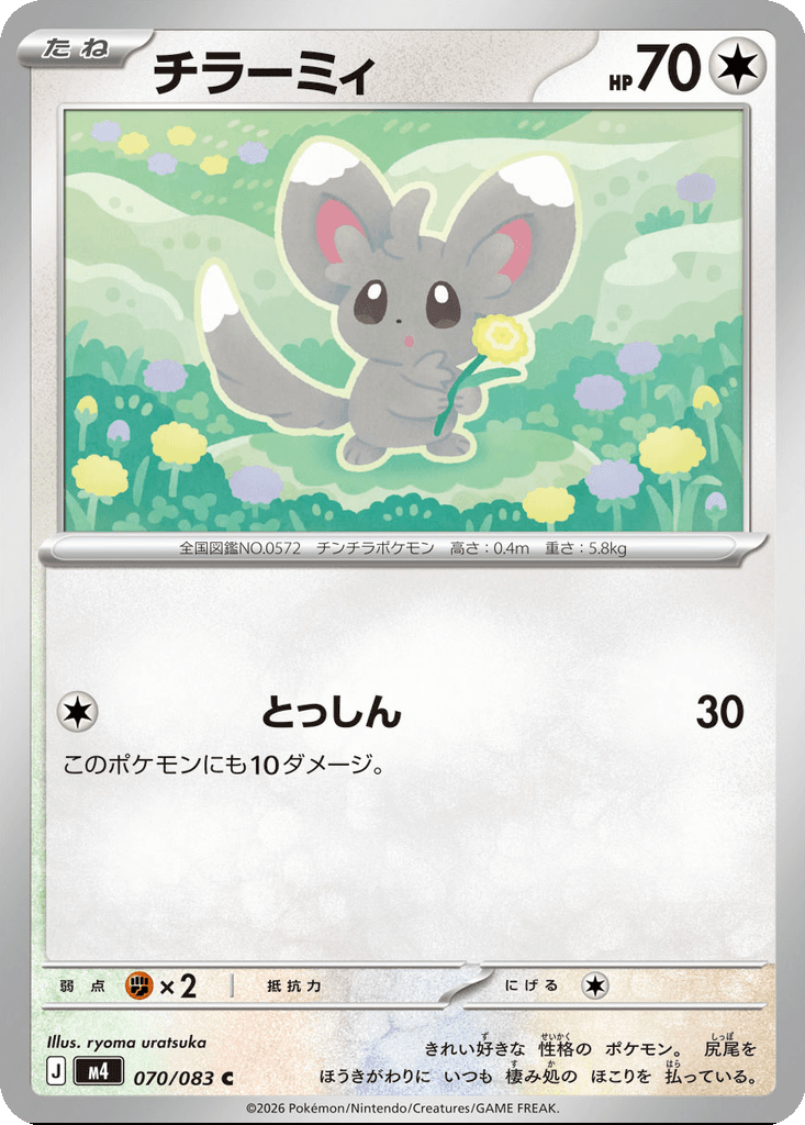 Minccino