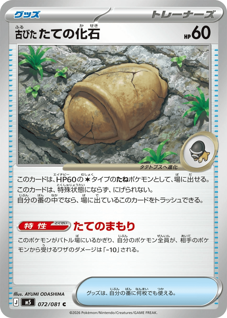 Antique Armor Fossil