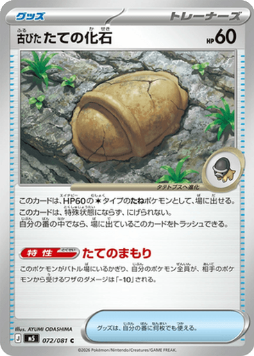 Antique Armor Fossil