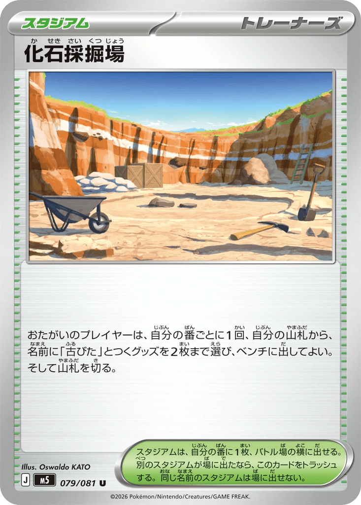 Fossil Excavation Site