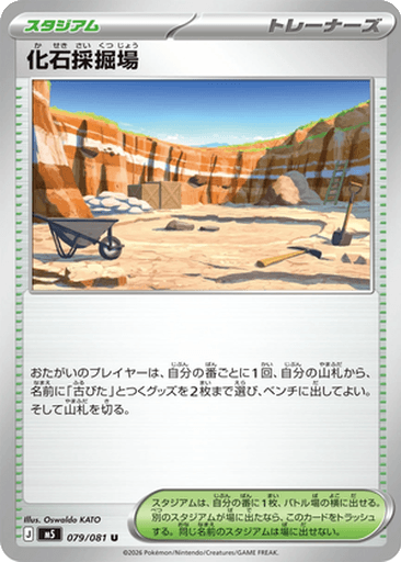 Fossil Excavation Site