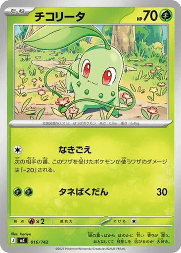 Chikorita