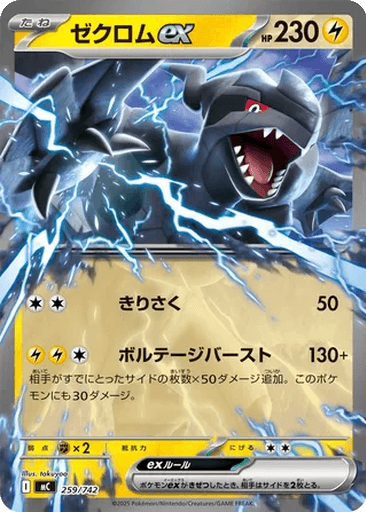 Zekrom ex