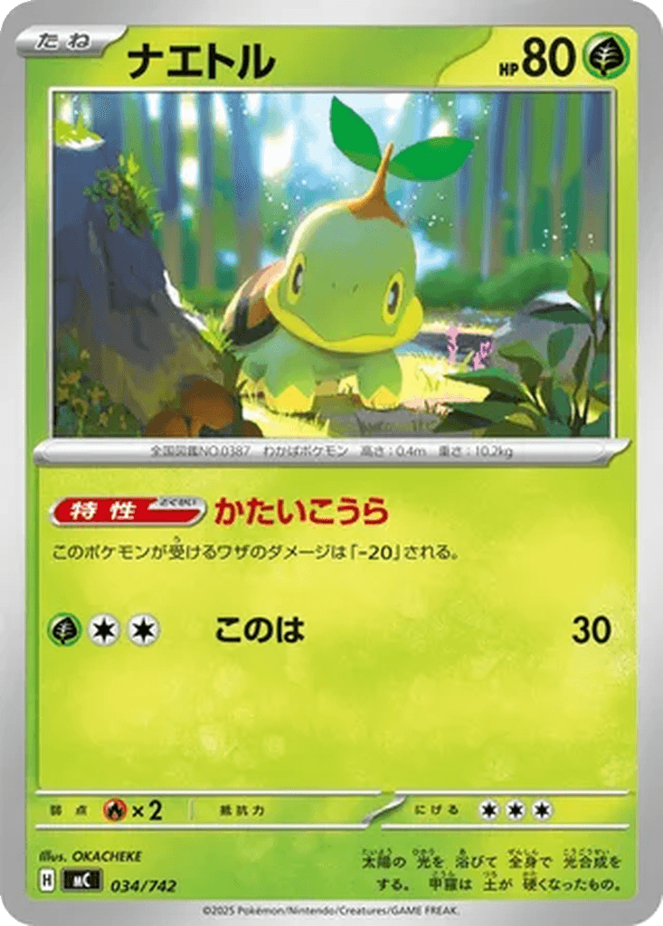 Turtwig