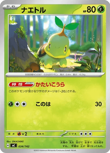 Turtwig