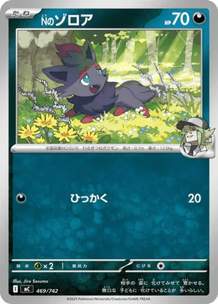 N's Zorua