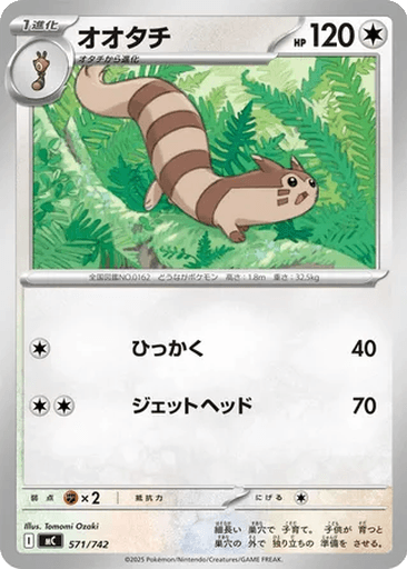 Furret