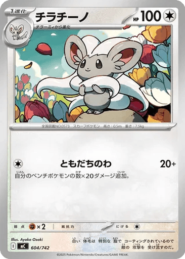 Cinccino
