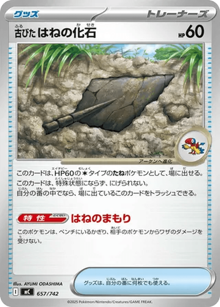 Antique Plume Fossil