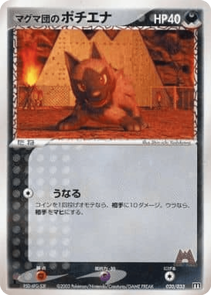 Team Magma's Poochyena