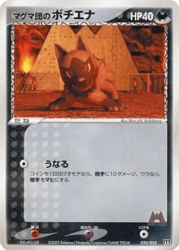 Team Magma's Poochyena