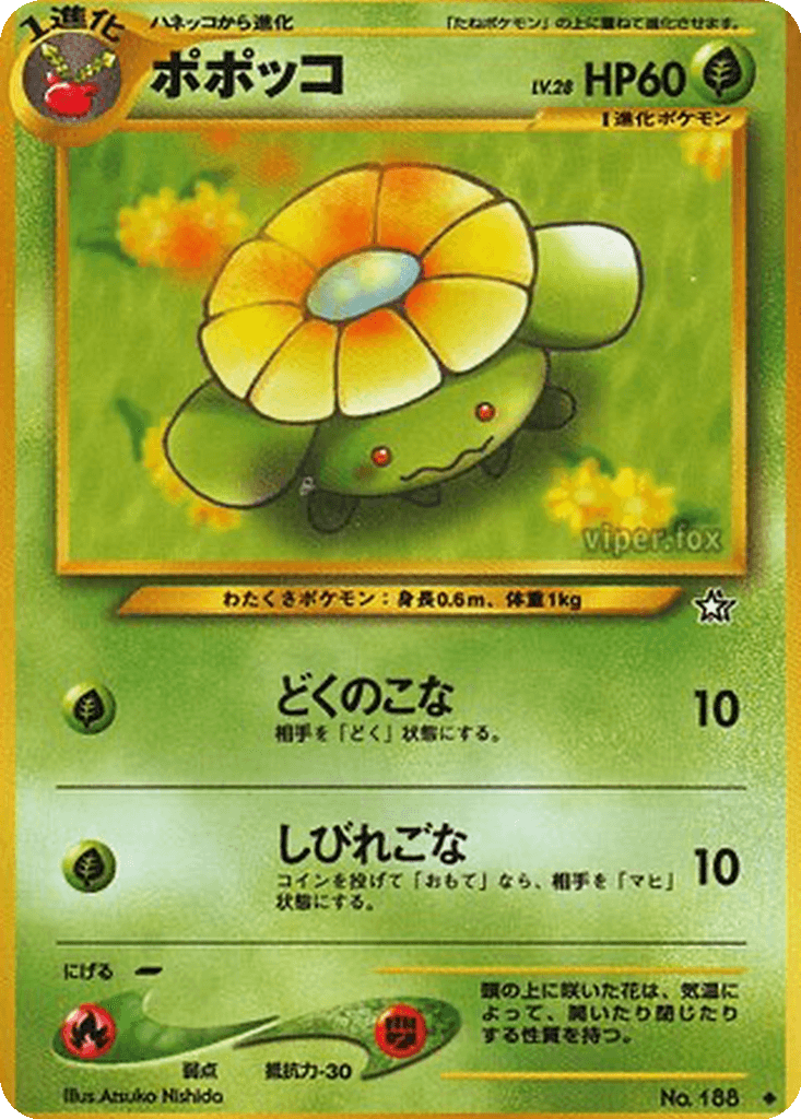 Skiploom