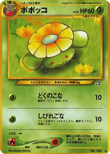 Skiploom
