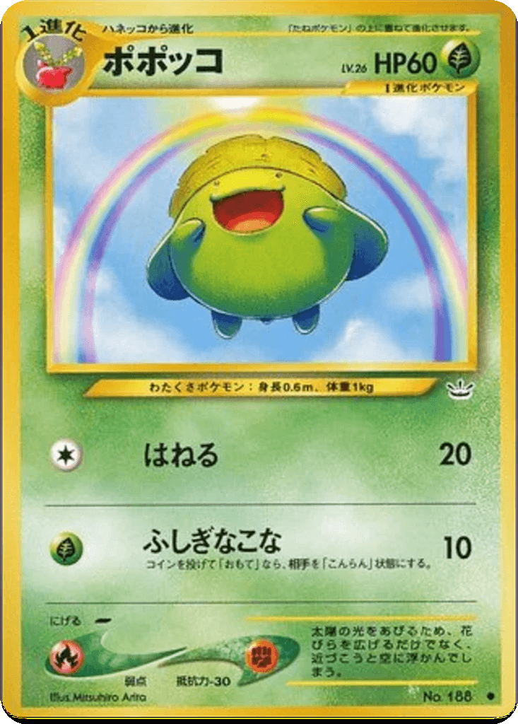 Skiploom