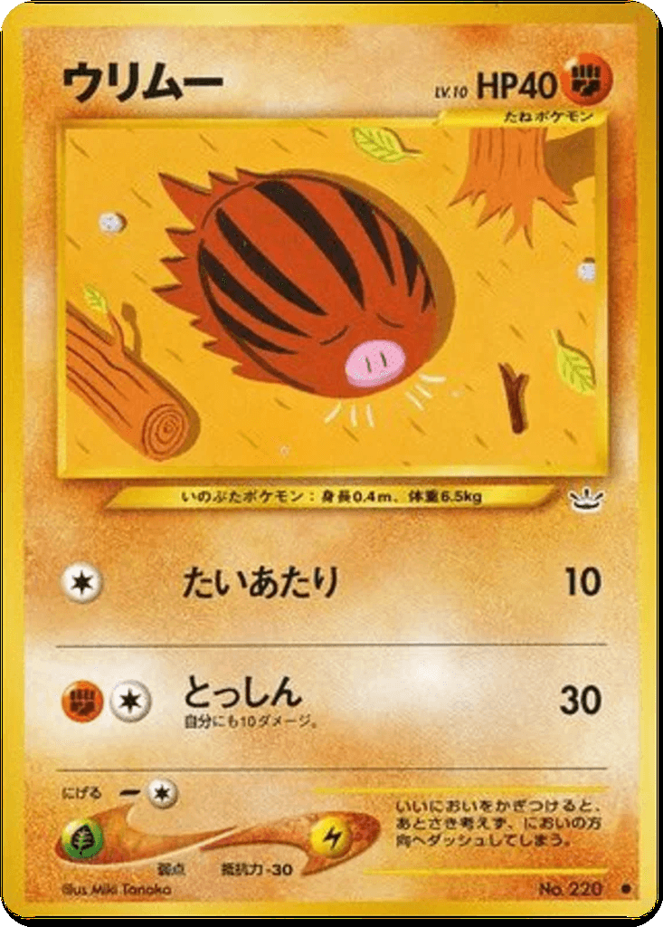 Swinub