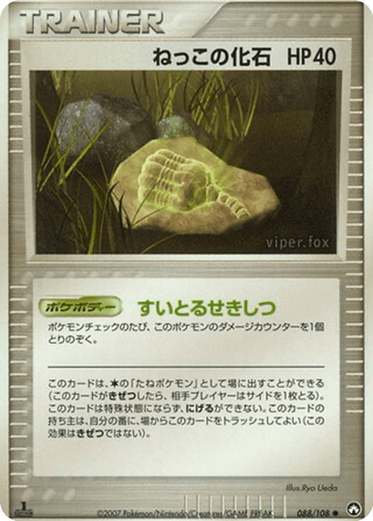 Root Fossil