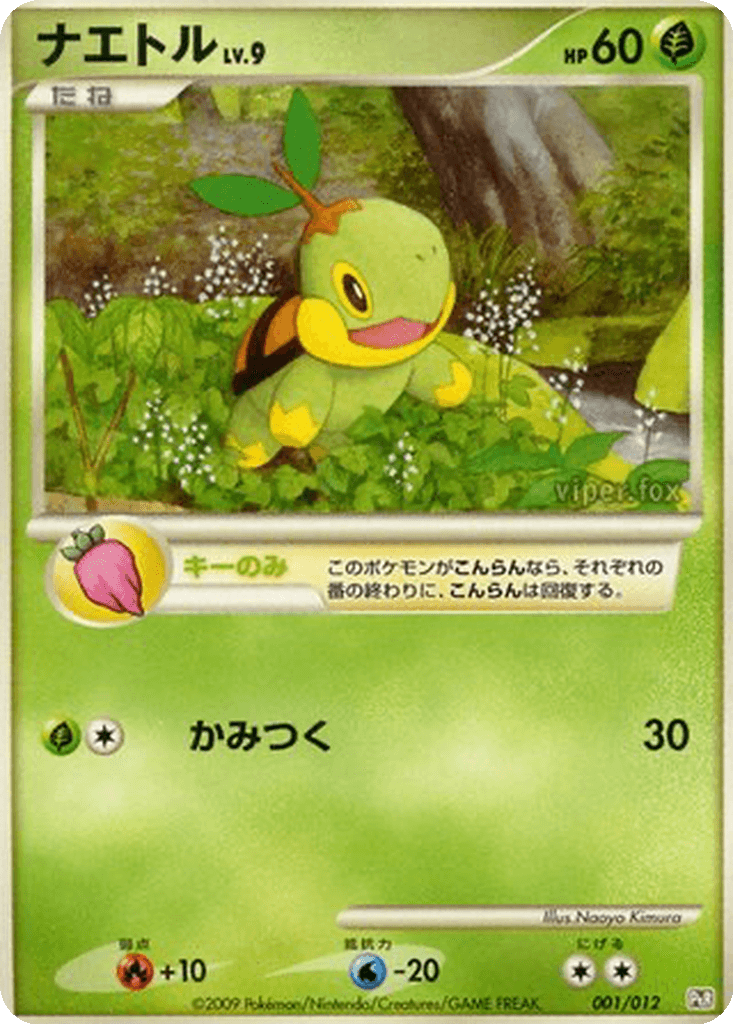 Turtwig