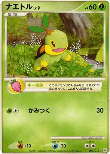 Turtwig