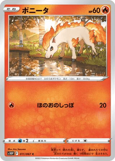 Ponyta