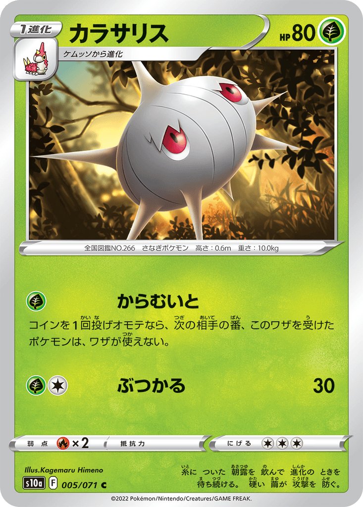 Silcoon