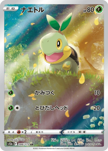 Turtwig
