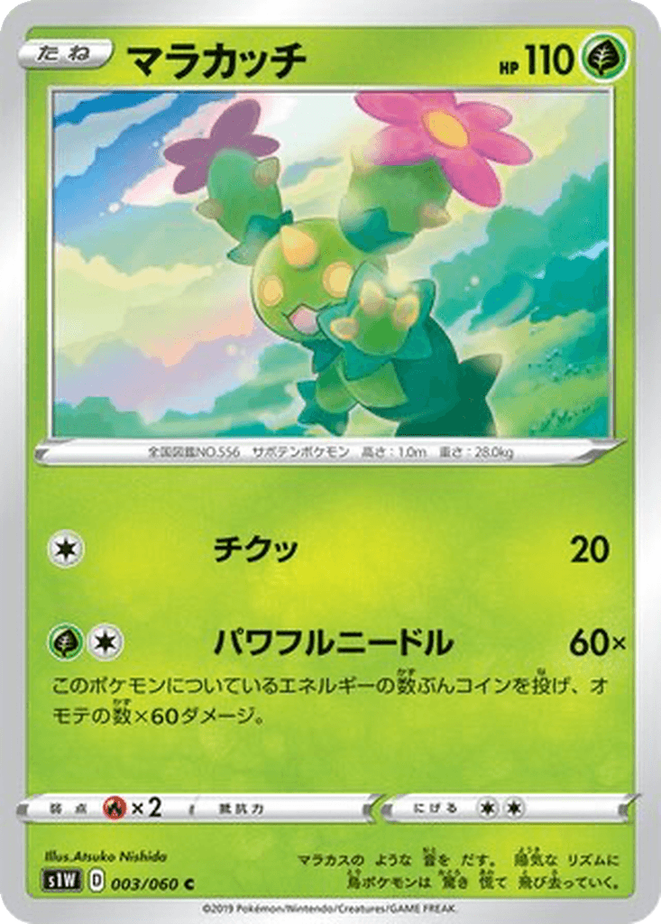 Maractus