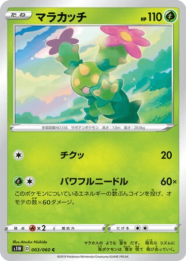 Maractus