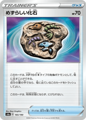 Rare Fossil