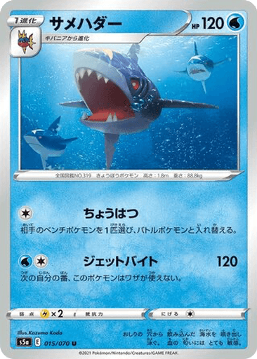 Sharpedo