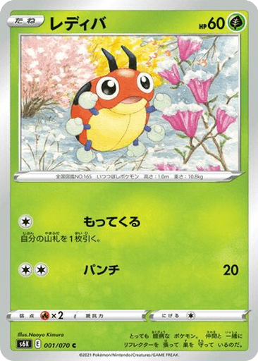 Ledyba