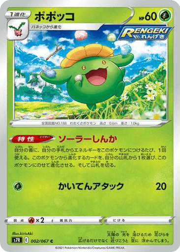 Skiploom