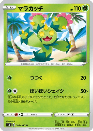 Maractus