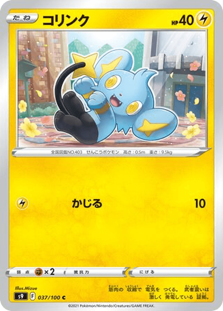 Shinx