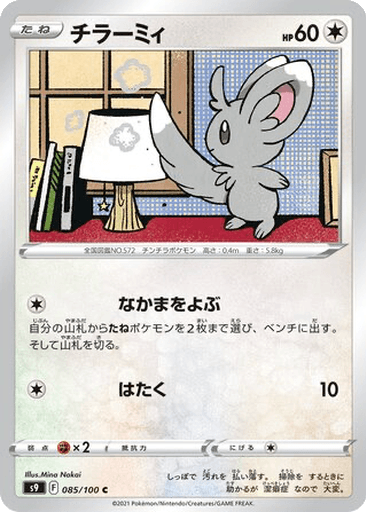 Minccino