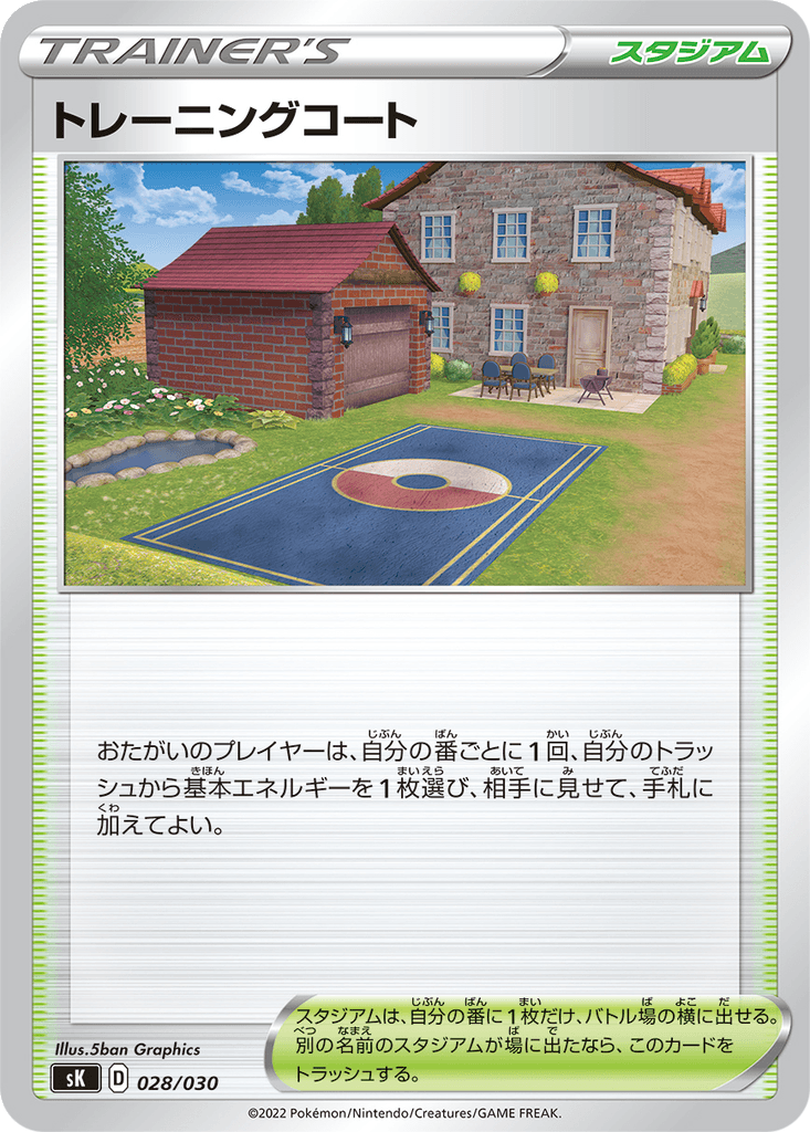 Training Court