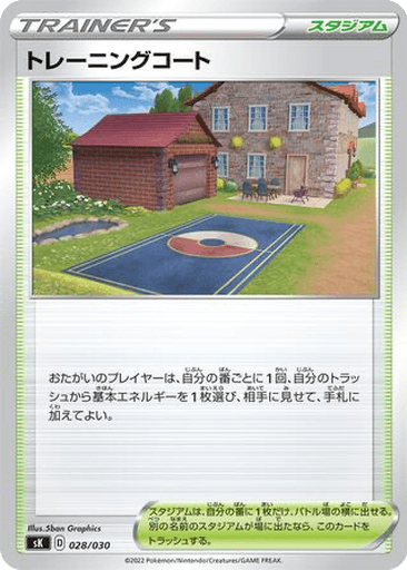 Training Court