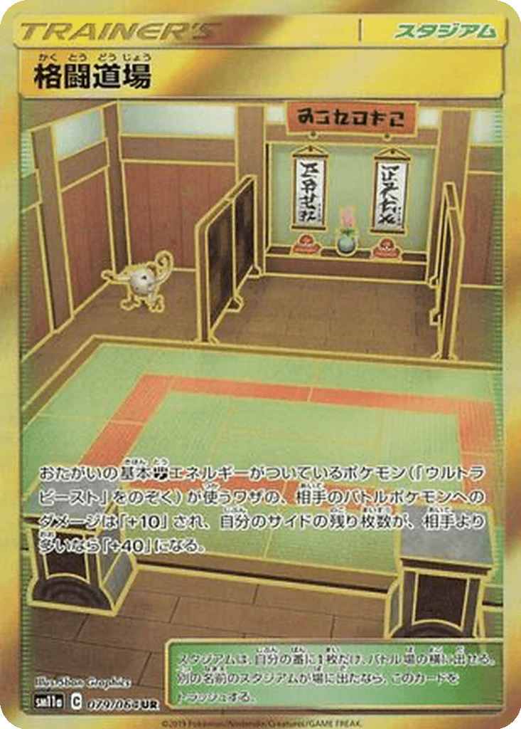 Martial Arts Dojo