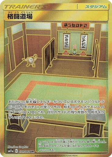 Martial Arts Dojo