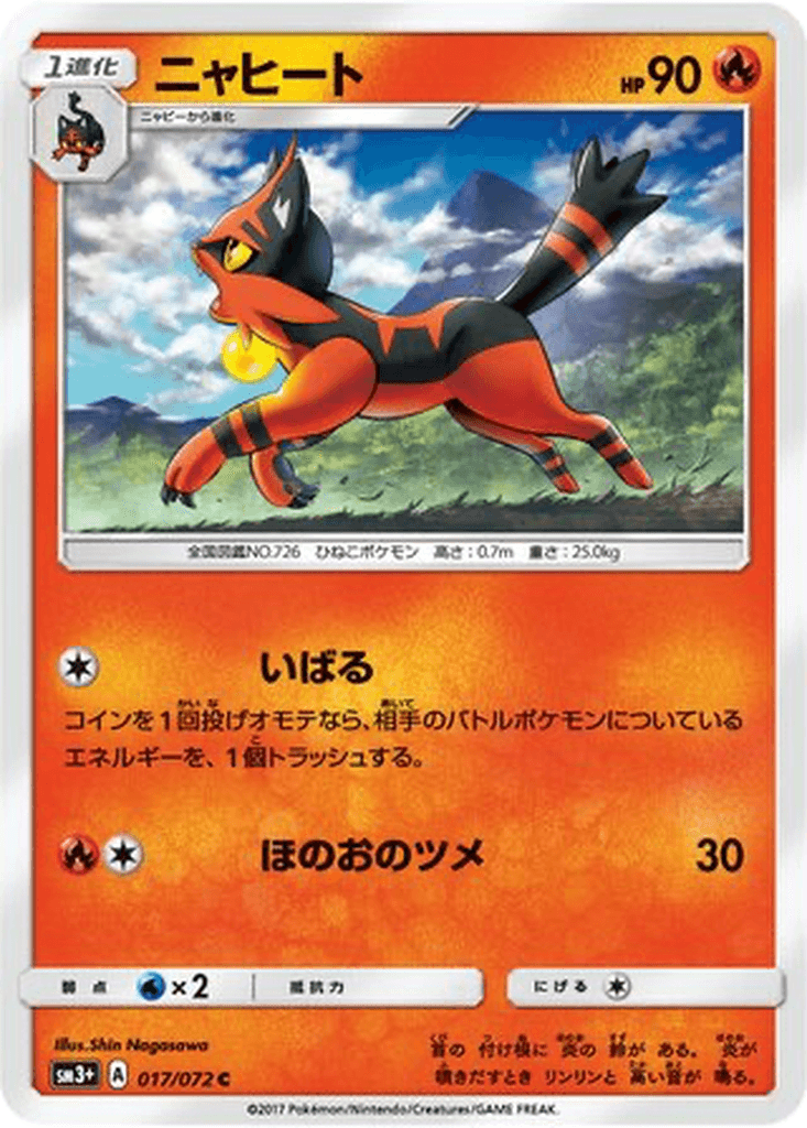 Torracat