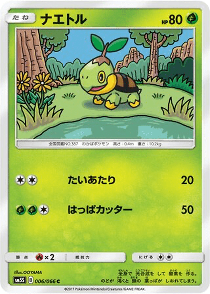 Turtwig
