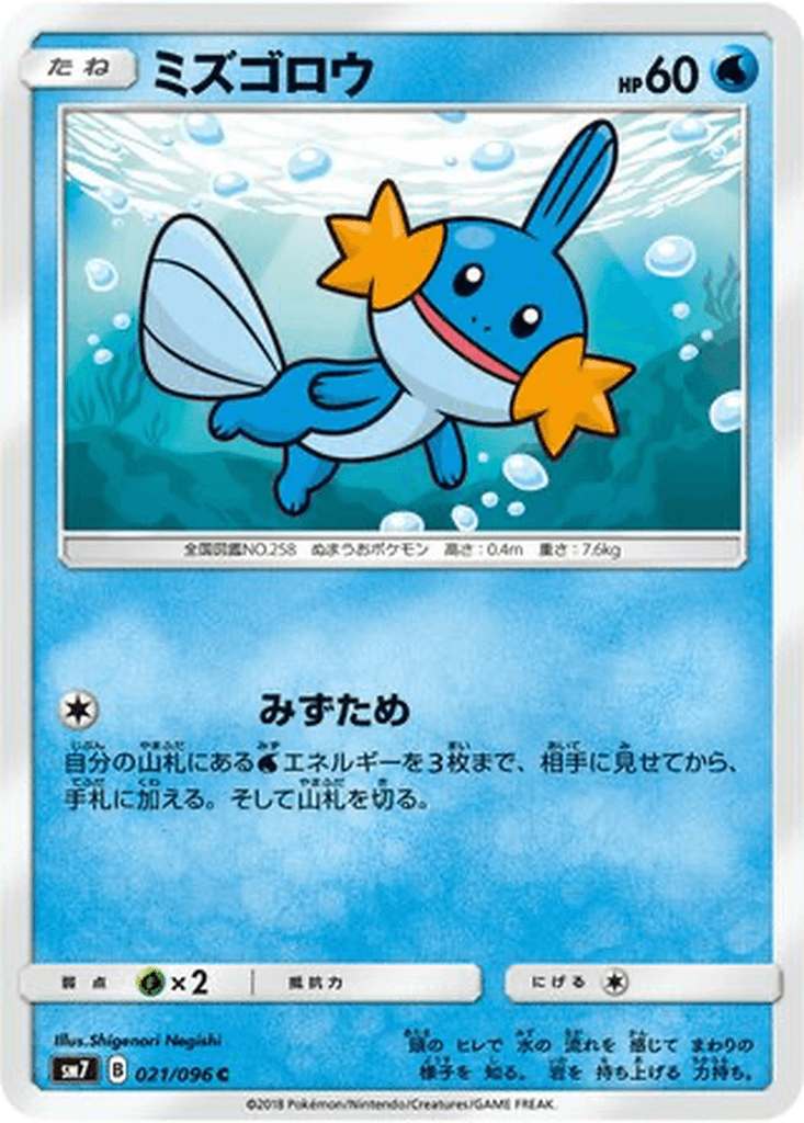 Mudkip